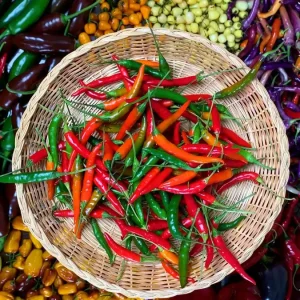 Fresh Thai Green Chili Peppers - Hot Spicing Vegetable - Image 1