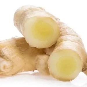 Fresh White Turmeric Rhizomes - Curcuma Amada - Edible & Plantable - Image 5