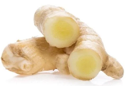 Fresh White Turmeric Rhizomes - Curcuma Amada - Edible & Plantable - Image 5