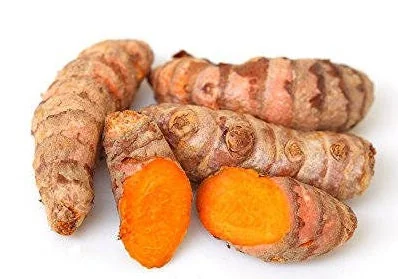 Fresh Wild Turmeric Root (8oz) - Organic Fijian Golden Spice - Image 2