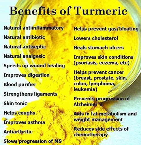 Fresh Wild Turmeric Root (8oz) - Organic Fijian Golden Spice - Image 3