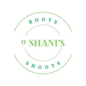 Fresh Wild Turmeric Root from Fiji - 1 lb Raw Turmeric for Health - Image 4