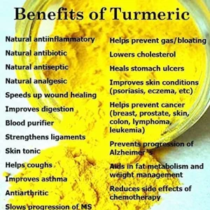 Fresh Wild Turmeric Root from Fiji - 1 lb Raw Turmeric for Health - Image 7