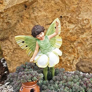 Frosted Blue Sedum Live Plant - 2.5