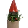 Funky Gnome Ceramic Planter with Live Trailing Houseplant - 9" x 3.5" - Image 1