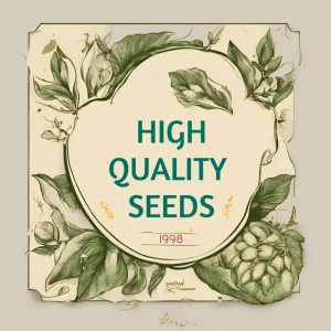 Georgia Southern Collard Seeds - Non-GMO Vegetable Seeds - Easy to Grow - Image 7