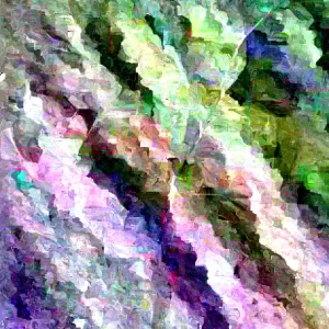 Ginkgo Biloba Maidenhair Tree Live Bare Root Plant 24+ Inches Tall Outdoor - Image 4