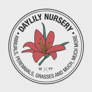 Golden Oxford Tulip Bulbs - Tulipa Triumph - Approx. 450 Bulbs for Outdoor Planting - Image 5