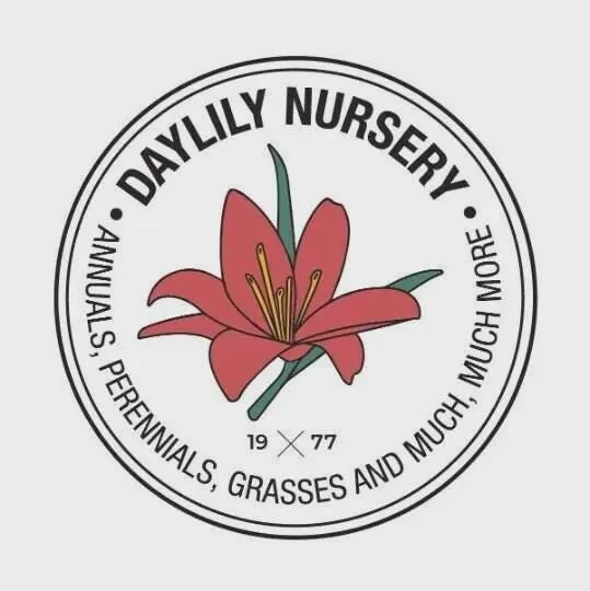 Golden Oxford Tulip Bulbs - Tulipa Triumph - Approx. 450 Bulbs for Outdoor Planting - Image 5