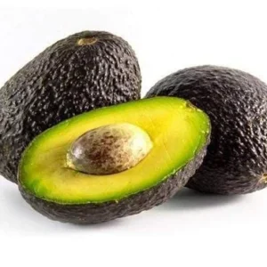 Grafted Avocado Tree Live Plant - Super Hass, Persea americana, 3 Gallon Pot - Image 2