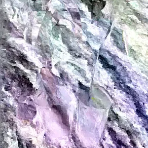 Grafted Mango Live Tropical Fruit Tree 15-25 inch Tall - Indoor/Outdoor - Image 3