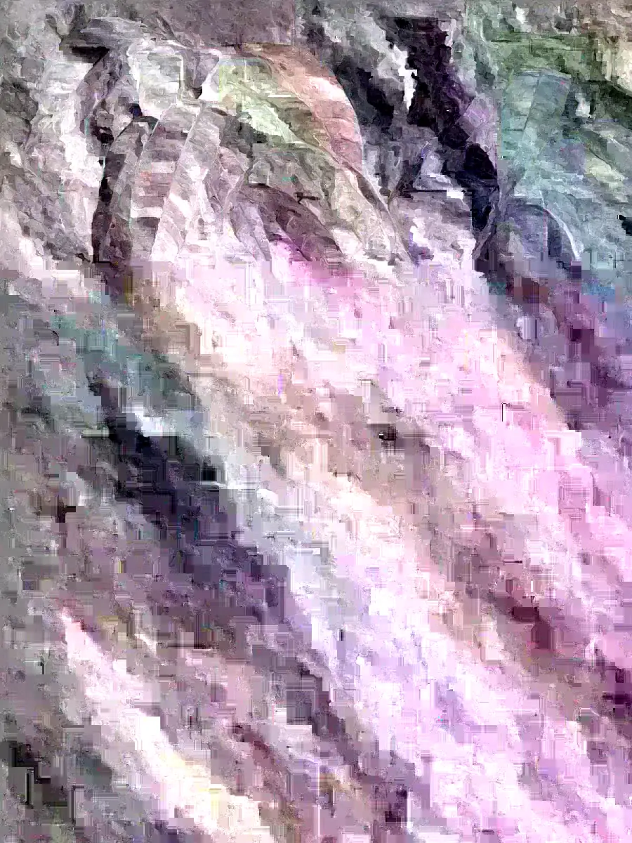 Grafted Mango Live Tropical Fruit Tree - 15-25 Inch Tall Plant - Indoor/Outdoor - Image 5