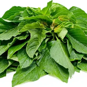 Green Amaranth Seeds - Heirloom, Non-GMO, Edible Leaves, 30-40 Days - Image 3