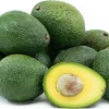 Gwen Avocado Tree - 1 Ft Tall Grafted Live Plant - Outdoor Fruit Tree - Image 1