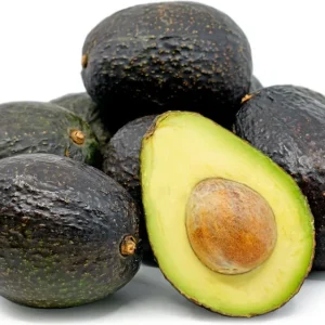 Hass Avocado Live Tree – Grafted Plant – 1 to 2 Feet Tall in 6" Pot - Image 1