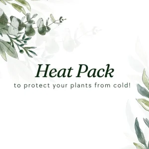 Heat Pack Thermal Plant Warmer - Plant Shipping Protection, 72 Hour - Image 1