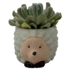Hedgehog Ceramic Planter with Live Succulent Plant - 3 Inch Pot - Indoor Decor - Image 1