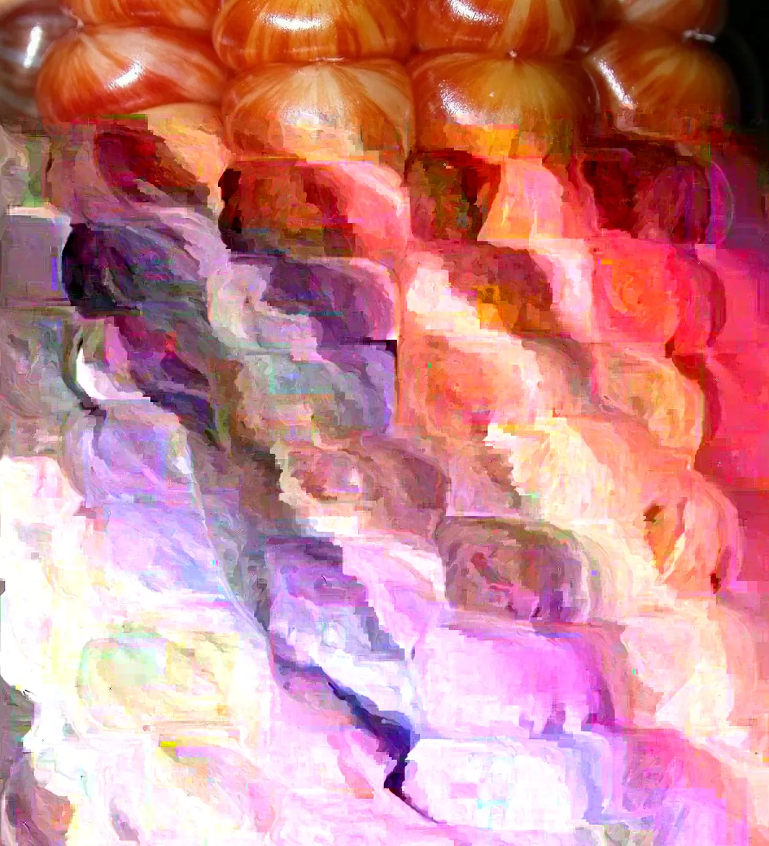 Heirloom Glass Gem Indian Corn Seeds - 300 Rainbow Organic Non-GMO for Planting - Image 2