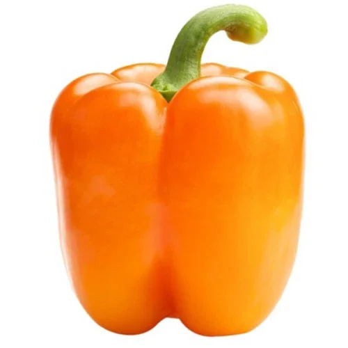 Heirloom Orange Bell Pepper Seeds – 50+ Organic Non-GMO Sweet Pepper Seeds for Garden - Image 3