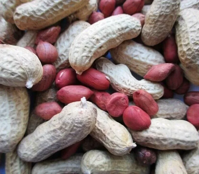 Heirloom Tennessee Red Valencia Peanut Seeds - 35g Goober Peas for Planting Outdoor - Image 1
