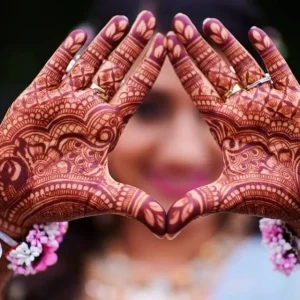 Henna Live Plant (Lawsonia inermis) for Mehndi Dye & Ornament | 1 Gallon Pot - Image 3