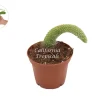 Hildewintera Colademononis Monkey Tail Cactus Live Plant - 4 inch Pot - Image 1