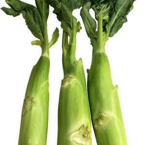 Huge Stem Gai Lan Seeds - Chinese Broccoli Seeds, Heirloom, Non-GMO for Asian Cuisine - Image 3