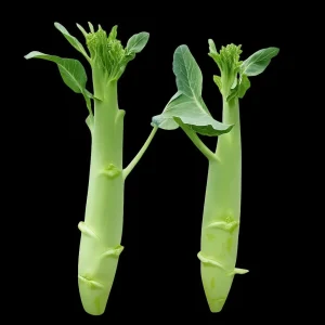 Huge Stem Gai Lan Seeds - Chinese Broccoli Seeds, Heirloom, Non-GMO for Asian Cuisine - Image 1