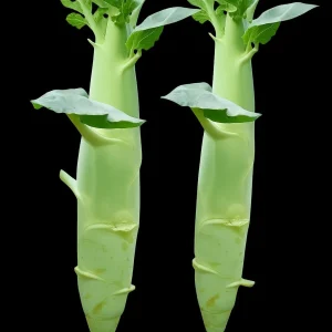 Huge Stem Gai Lan Seeds - Chinese Broccoli Seeds, Heirloom, Non-GMO for Asian Cuisine - Image 5