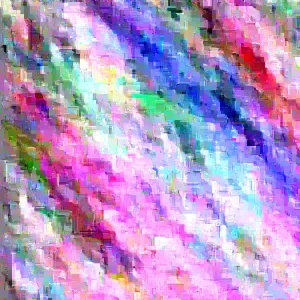 Hybrid Poplar Tree Cuttings - Set of 12 Unrooted Populus x canadensis - Image 4