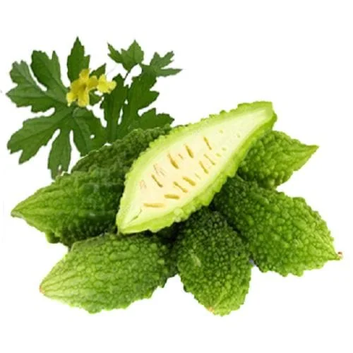 Indian Bitter Melon Seeds - Khổ Qua Rừng Lùn Gai Non-GMO Heirloom - Image 1