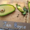 Jan Boyce Avocado Live Plant – Grafted Tree – 1 Foot Tall – Outdoor Fruit Tree - Image 1