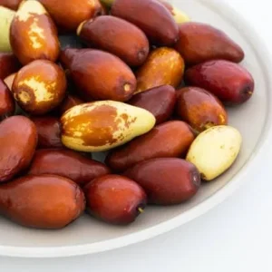 Jujube Tree Live Plant - Chinese Date Tree (Ziziphus jujuba) - Drought Tolerant Fruit Tree - Image 4