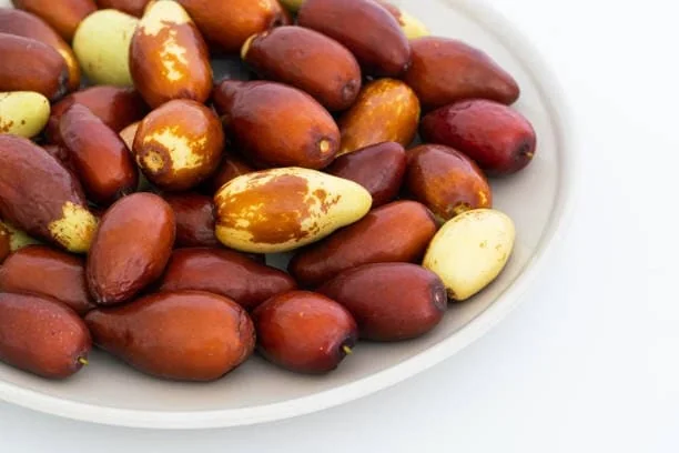 Jujube Tree Live Plant – Sweet Chinese Date Fruit – Drought Tolerant - Image 4