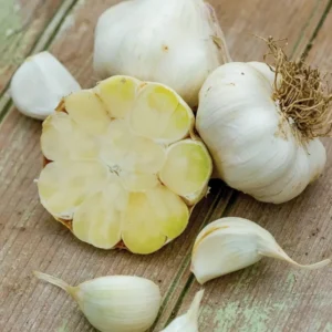 Jumbo Organic Softneck Garlic Bulbs - 3 Count for Planting, Easy to Grow - Image 8