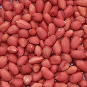 Jumbo Peanut Seeds 50+ for Planting - Non-GMO Heirloom Vegetable Seeds - Image 1