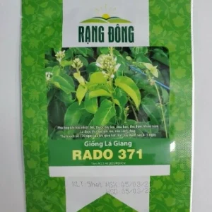 La Giang Sour Creeper Seeds - Edible Vietnamese Herb, Perennial, Climbing Habit - Image 2