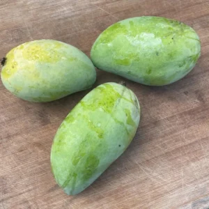 Lemon Zest Mango Tree Live Plant Grafted 2-4 Ft Tall Tropical Fruit - Image 1