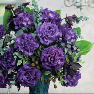 Lisianthus Voyage 2 Blue Live Plugs - Cut Flower Plant - Blue Eustoma grandiflorum - Image 5