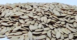 Marketmore 76 Cucumber Seeds - Non-GMO Heirloom Vegetable Seeds - Image 4