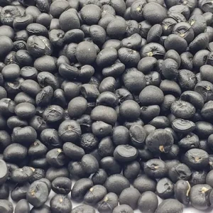 Mary Washington Asparagus Seeds - Heirloom Vegetable for Garden - Image 2