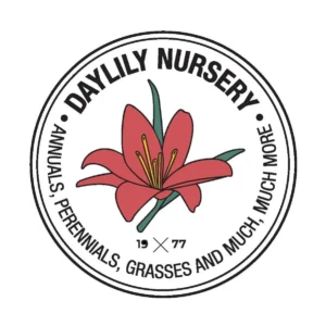 McIntosh Apple Tree Bareroot Live Plant 2-3 ft Tall - Outdoor Fruit Tree - Image 5