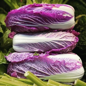 Merlot Red Dragon Chinese Cabbage Seeds - Hybrid F1 Brassica rapa - Image 3