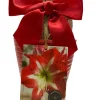Minerva Amaryllis Growing Kit - Large Bulb, Red Ceramic Pot, 20-24" Tall - Image 1