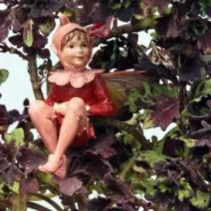 Mini Red Leaf Coleus Live Plant – Potted Houseplant – 2.5