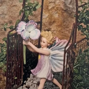 Miniature Wintercreeper Plant - Euonymus fortunei 'Kewensis' - 2.5