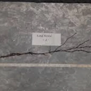 Ninebark Live Plant 12-24in Tall - Hardy Deciduous Shrub Physocarpus opulifolius - Image 2