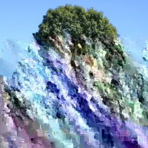 Northern Red Oak Saplings - Live Quercus rubra Plants 6+ Inches - Set of 2 for Outdoor Planting - Image 2