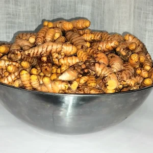 Orange Turmeric Rhizomes - 1-50 lbs Curcuma longa Roots for Growing - Image 2
