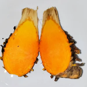 Orange Turmeric Rhizomes - Fresh Organic Curcuma longa Root for Planting & Culinary Use - Image 3